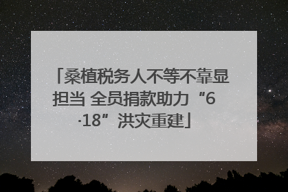 桑植税务人不等不靠显担当 全员捐款助力“6·18”洪灾重建