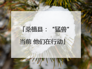桑植县：“猛兽”当前 他们在行动