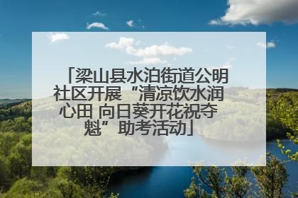 梁山县水泊街道公明社区开展“清凉饮水润心田 向日葵开花祝夺魁”助考活动