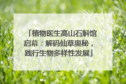 植物医生高山石斛馆启幕：解码仙草奥秘，践行生物多样性发展