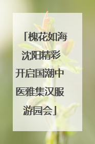 槐花如海 沈阳精彩开启国潮中医雅集汉服游园会