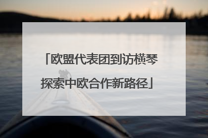 欧盟代表团到访横琴 探索中欧合作新路径