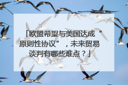 欧盟希望与美国达成“原则性协议”，未来贸易谈判有哪些难点？