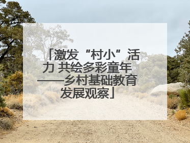 激发“村小”活力 共绘多彩童年——乡村基础教育发展观察