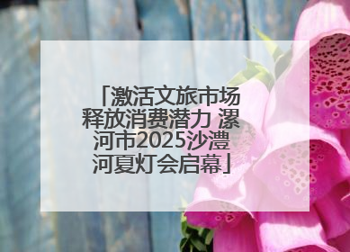 激活文旅市场 释放消费潜力 漯河市2025沙澧河夏灯会启幕