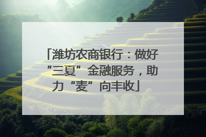 潍坊农商银行：做好“三夏”金融服务，助力“麦”向丰收