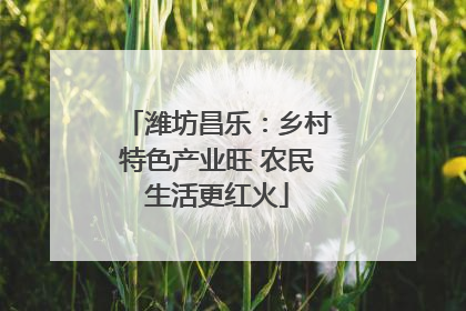 潍坊昌乐：乡村特色产业旺 农民生活更红火
