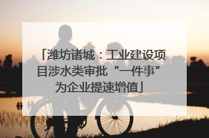 潍坊诸城：工业建设项目涉水类审批“一件事” 为企业提速增值
