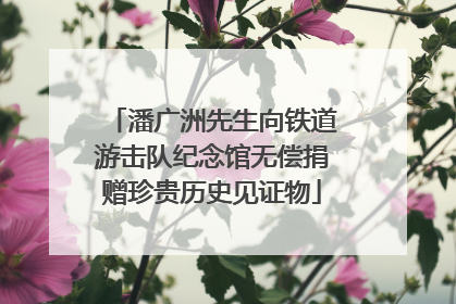 潘广洲先生向铁道游击队纪念馆无偿捐赠珍贵历史见证物