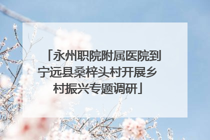 永州职院附属医院到宁远县桑梓头村开展乡村振兴专题调研