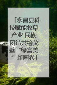 永昌县科技赋能牧草产业 民族团结共绘戈壁“绿富美”新画卷