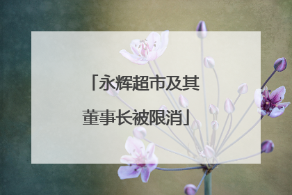 永辉超市及其董事长被限消