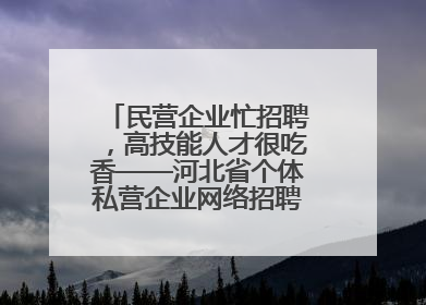 民营企业忙招聘，高技能人才很吃香——河北省个体私营企业网络招聘大会扫描