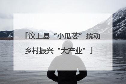 汶上县“小瓜蒌”撬动乡村振兴“大产业”