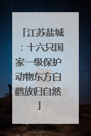 江苏盐城：十六只国家一级保护动物东方白鹳放归自然