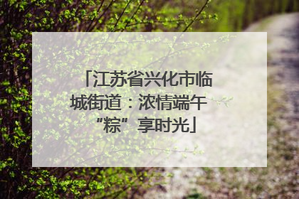 江苏省兴化市临城街道：浓情端午 “粽”享时光
