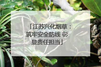 江苏兴化烟草：筑牢安全防线 彰显责任担当
