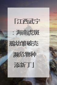 江西武宁：海南虎斑鳽幼雏破壳 濒危物种添新丁