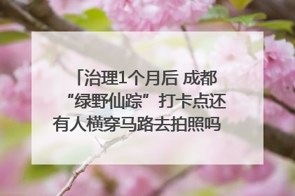 治理1个月后 成都“绿野仙踪”打卡点还有人横穿马路去拍照吗？｜民情瞭望