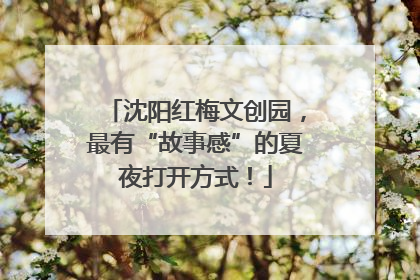 沈阳红梅文创园，最有“故事感”的夏夜打开方式！