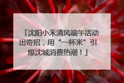 沈阳小禾清风端午活动出奇招，用“一杯米”引爆沈城消费热潮！