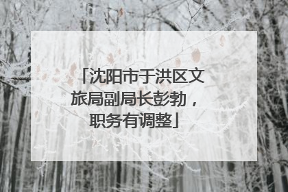 沈阳市于洪区文旅局副局长彭勃，职务有调整