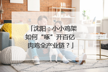 沈阳：小小鸡架如何“啄”开百亿肉鸡全产业链？