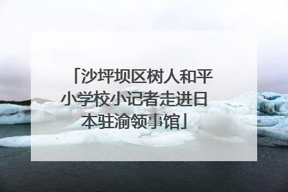 沙坪坝区树人和平小学校小记者走进日本驻渝领事馆