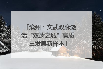 沧州：文武双脉激活“双遗之城”高质量发展新样本