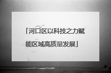 河口区以科技之力赋能区域高质量发展