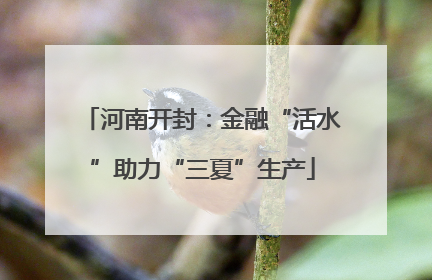 河南开封：金融“活水”助力“三夏”生产
