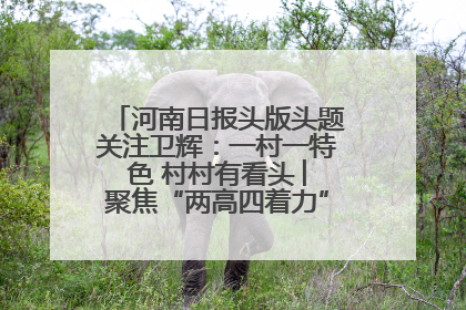 河南日报头版头题关注卫辉：一村一特色 村村有看头 ︳聚焦“两高四着力”·一“县”观察