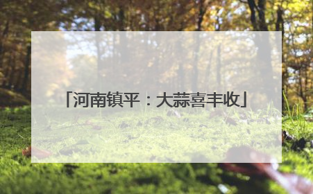 河南镇平：大蒜喜丰收
