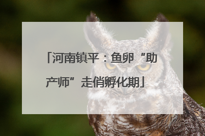 河南镇平：鱼卵“助产师”走俏孵化期