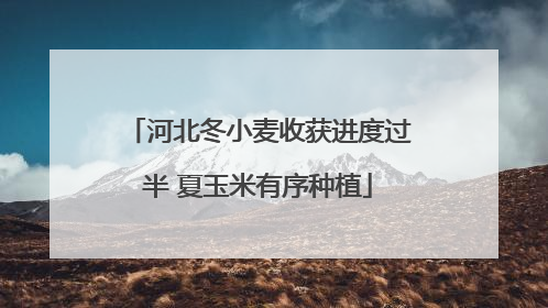 河北冬小麦收获进度过半 夏玉米有序种植