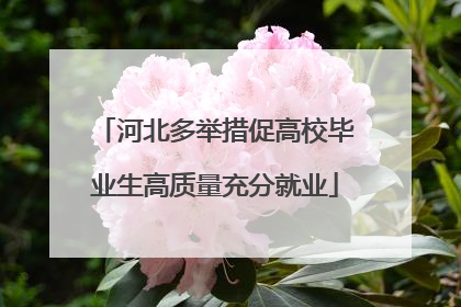 河北多举措促高校毕业生高质量充分就业