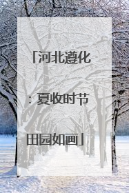 河北遵化：夏收时节田园如画