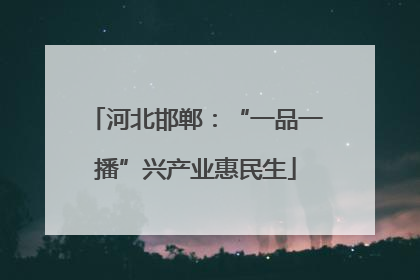 河北邯郸：“一品一播”兴产业惠民生