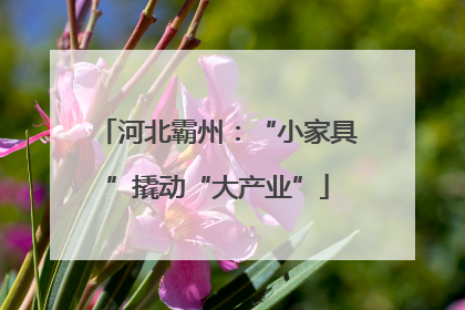 河北霸州：“小家具”撬动“大产业”