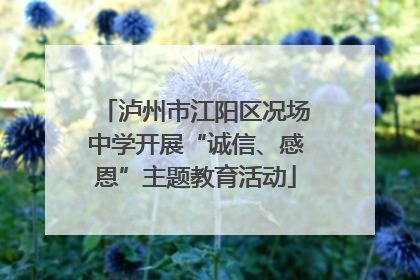 泸州市江阳区况场中学开展“诚信、感恩”主题教育活动