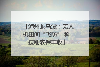 泸州龙马潭：无人机田间“飞防” 科技助农保丰收