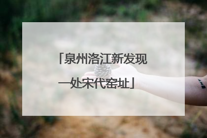 泉州洛江新发现一处宋代窑址