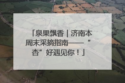 泉果飘香｜济南本周末采摘指南——“杏”好遇见你！