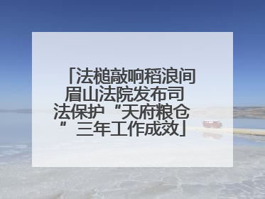 法槌敲响稻浪间 眉山法院发布司法保护“天府粮仓”三年工作成效