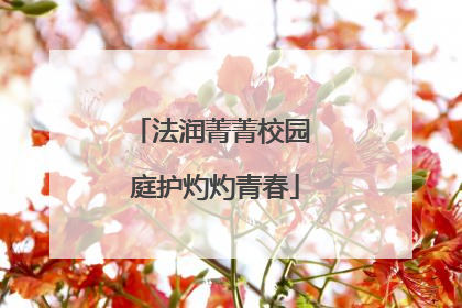 法润菁菁校园 庭护灼灼青春
