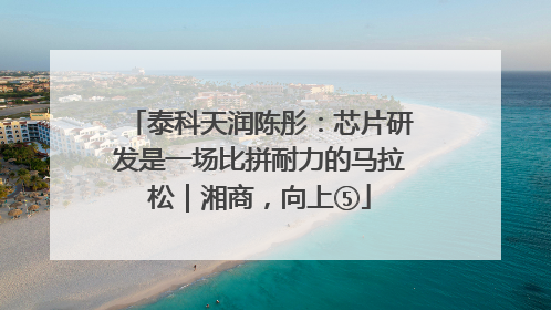 泰科天润陈彤：芯片研发是一场比拼耐力的马拉松｜湘商，向上⑤