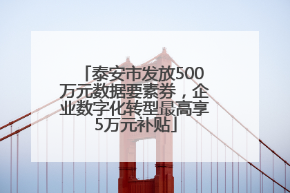 泰安市发放500万元数据要素券，企业数字化转型最高享5万元补贴