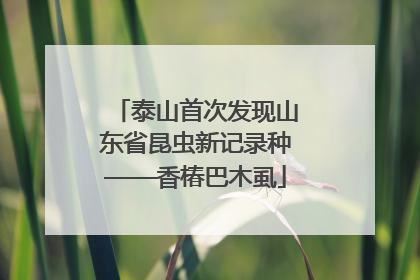 泰山首次发现山东省昆虫新记录种——香椿巴木虱