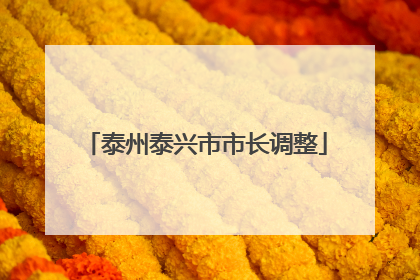 泰州泰兴市市长调整