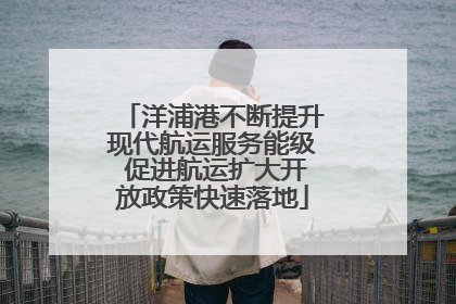 洋浦港不断提升现代航运服务能级 促进航运扩大开放政策快速落地